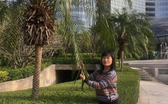 中国好声音总决赛现场直播